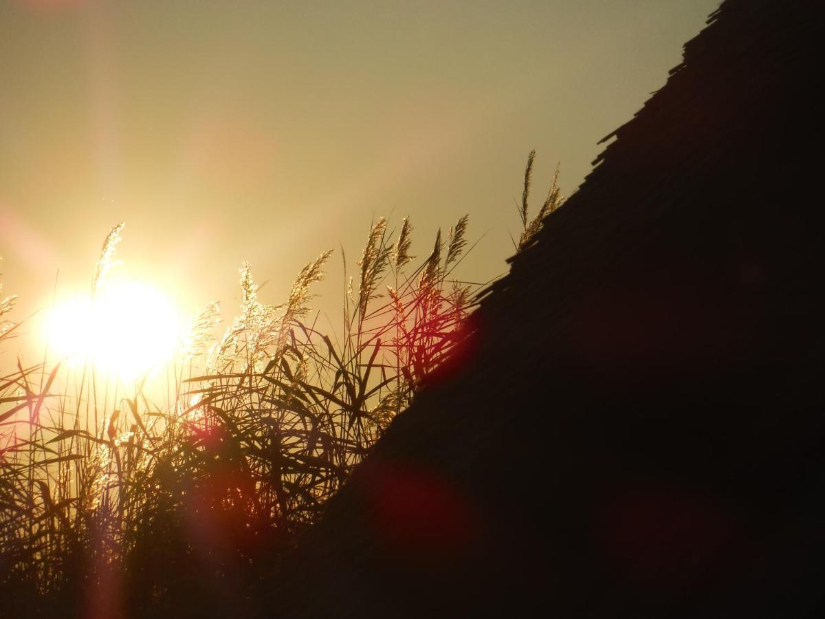 Pfahlbau Sunset I Toplage Elektroboot Inklusive รุสท์ ภายนอก รูปภาพ