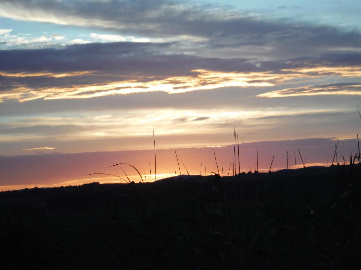 Pfahlbau Sunset I Toplage Elektroboot Inklusive รุสท์ ภายนอก รูปภาพ
