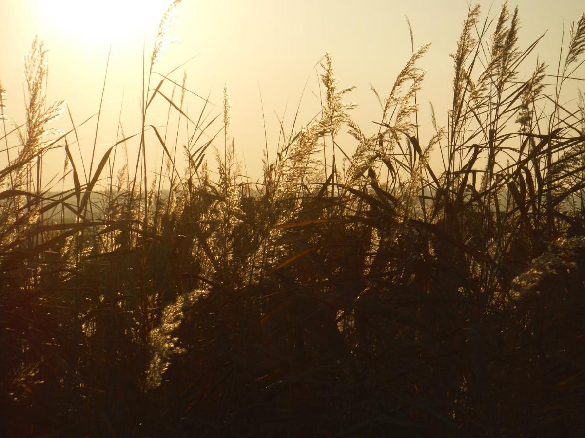 Pfahlbau Sunset I Toplage Elektroboot Inklusive รุสท์ ภายนอก รูปภาพ